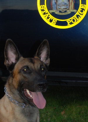 K9 EJ | New York State Police, New York K9 EJ | New York State Police, New York