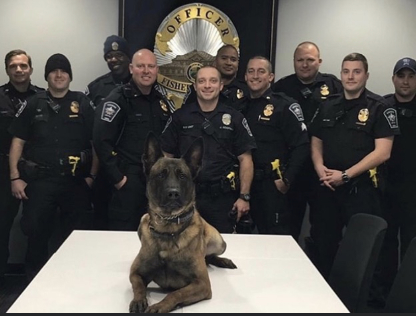 K9 Harlej | Fishers Police Department, Indiana K9 Harlej | Fishers Police Department, Indiana