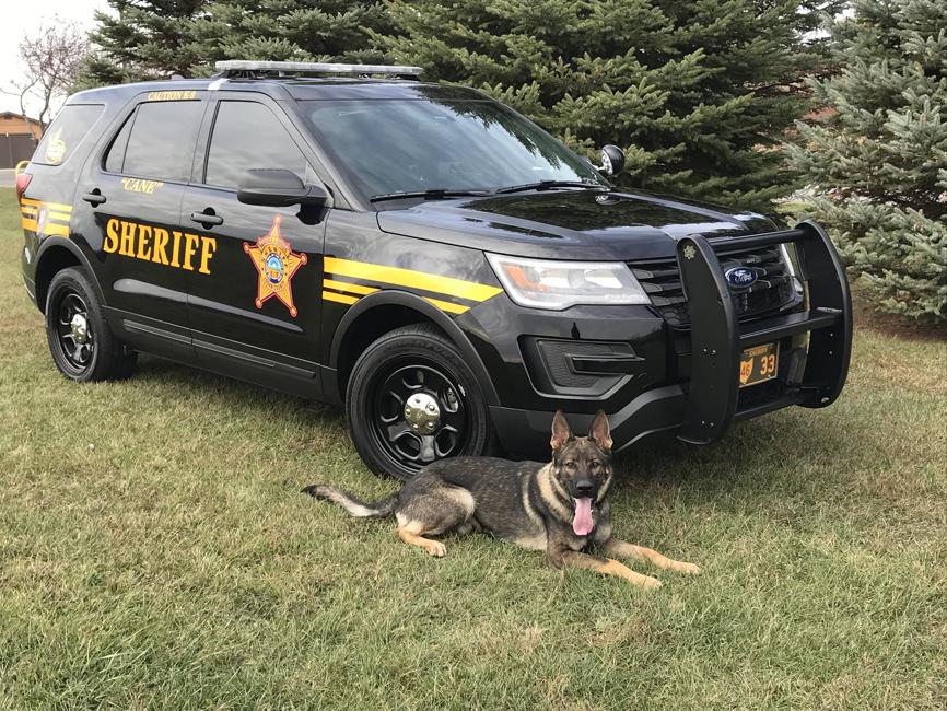 K9 Cane | Logan County Sheriff's Office, Ohio K9 Cane | Logan County Sheriff's Office, Ohio