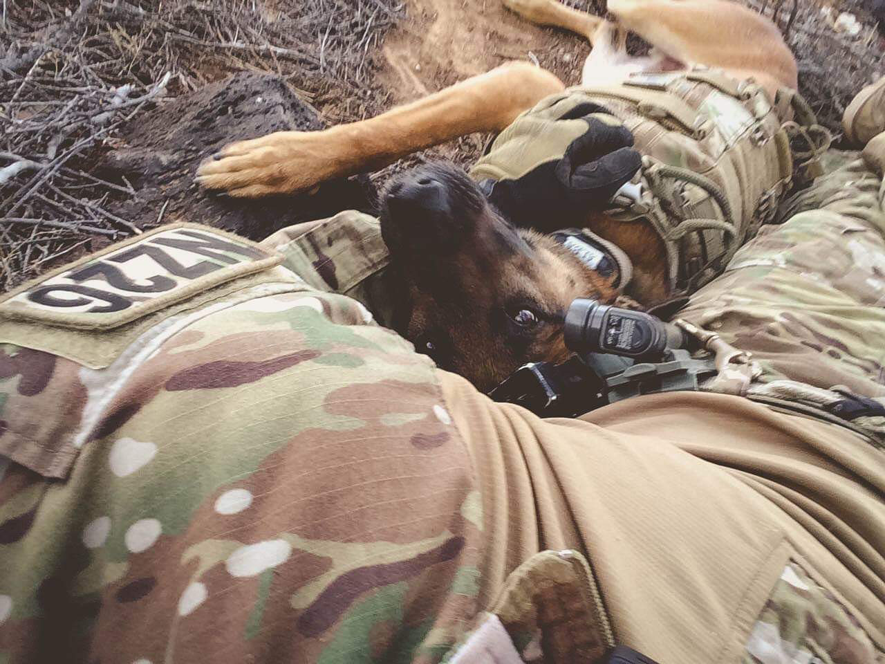 K9 Bulder | United States Department of Homeland Security - Customs and Border Protection - United States Border Patrol, U.S. Government K9 Bulder | United States Department of Homeland Security - Customs and Border Protection - United States Border Patrol, U.S. Government