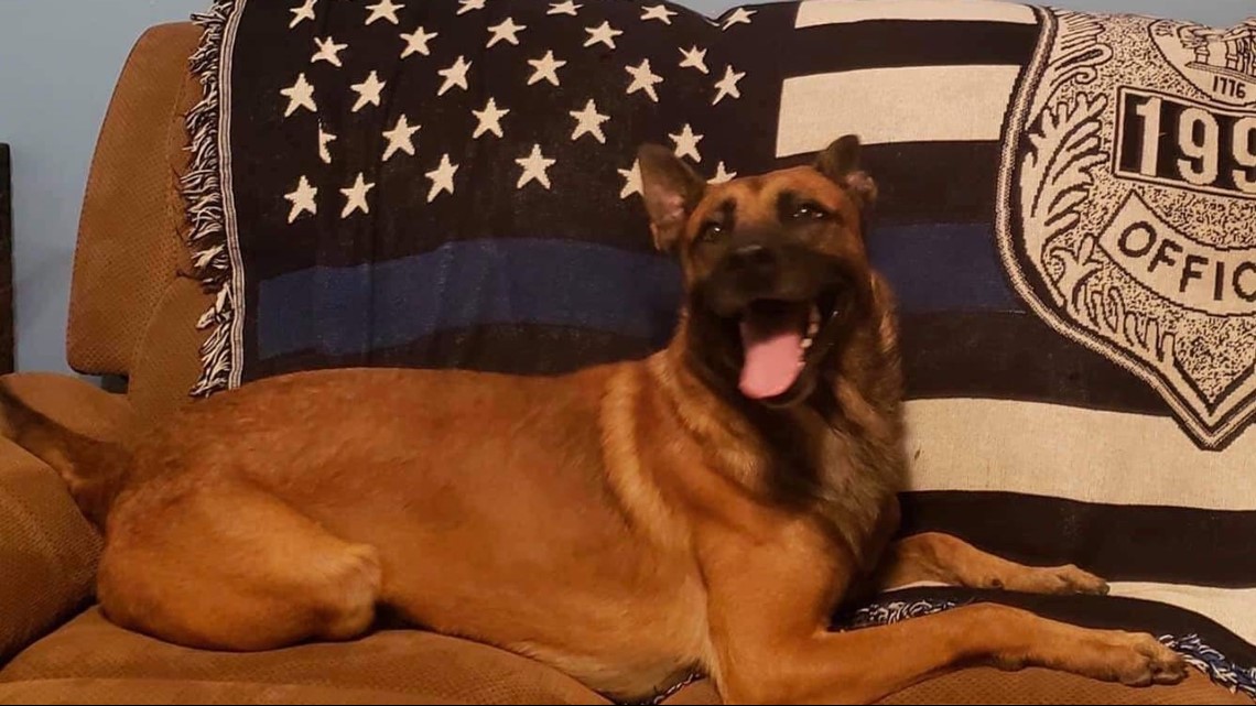 K9 Thorr | Henry County Police Department, Georgia K9 Thorr | Henry County Police Department, Georgia