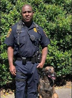 K9 Bloo | DeKalb County Sheriff's Office, Georgia K9 Bloo | DeKalb County Sheriff's Office, Georgia