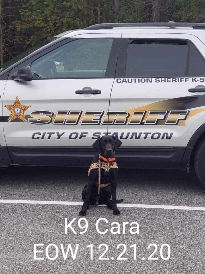 K9 Cara | Staunton Sheriff's Office, Virginia K9 Cara | Staunton Sheriff's Office, Virginia