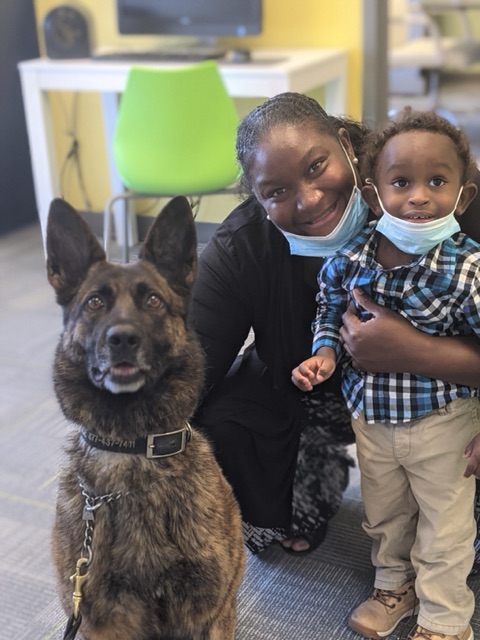 K9 Lyka Lukas | United States Department of Homeland Security - Federal Protective Service, U.S. Government K9 Lyka Lukas | United States Department of Homeland Security - Federal Protective Service, U.S. Government