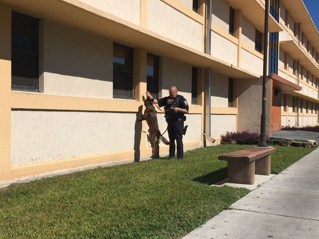 K9 Lyka Lukas | United States Department of Homeland Security - Federal Protective Service, U.S. Government K9 Lyka Lukas | United States Department of Homeland Security - Federal Protective Service, U.S. Government