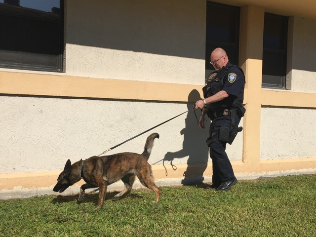 K9 Lyka Lukas | United States Department of Homeland Security - Federal Protective Service, U.S. Government K9 Lyka Lukas | United States Department of Homeland Security - Federal Protective Service, U.S. Government