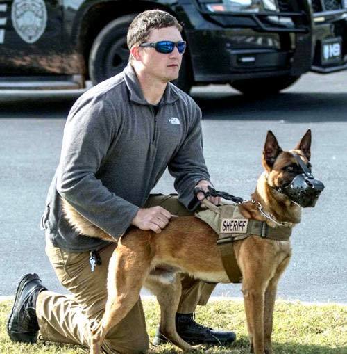 K9 Figo | Cullman County Sheriff's Office, Alabama K9 Figo | Cullman County Sheriff's Office, Alabama