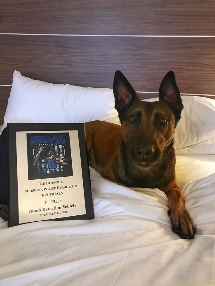 K9 Jango | Bakersfield Police Department, California K9 Jango | Bakersfield Police Department, California