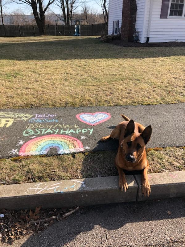 K9 Kitt | Braintree Police Department, Massachusetts K9 Kitt | Braintree Police Department, Massachusetts