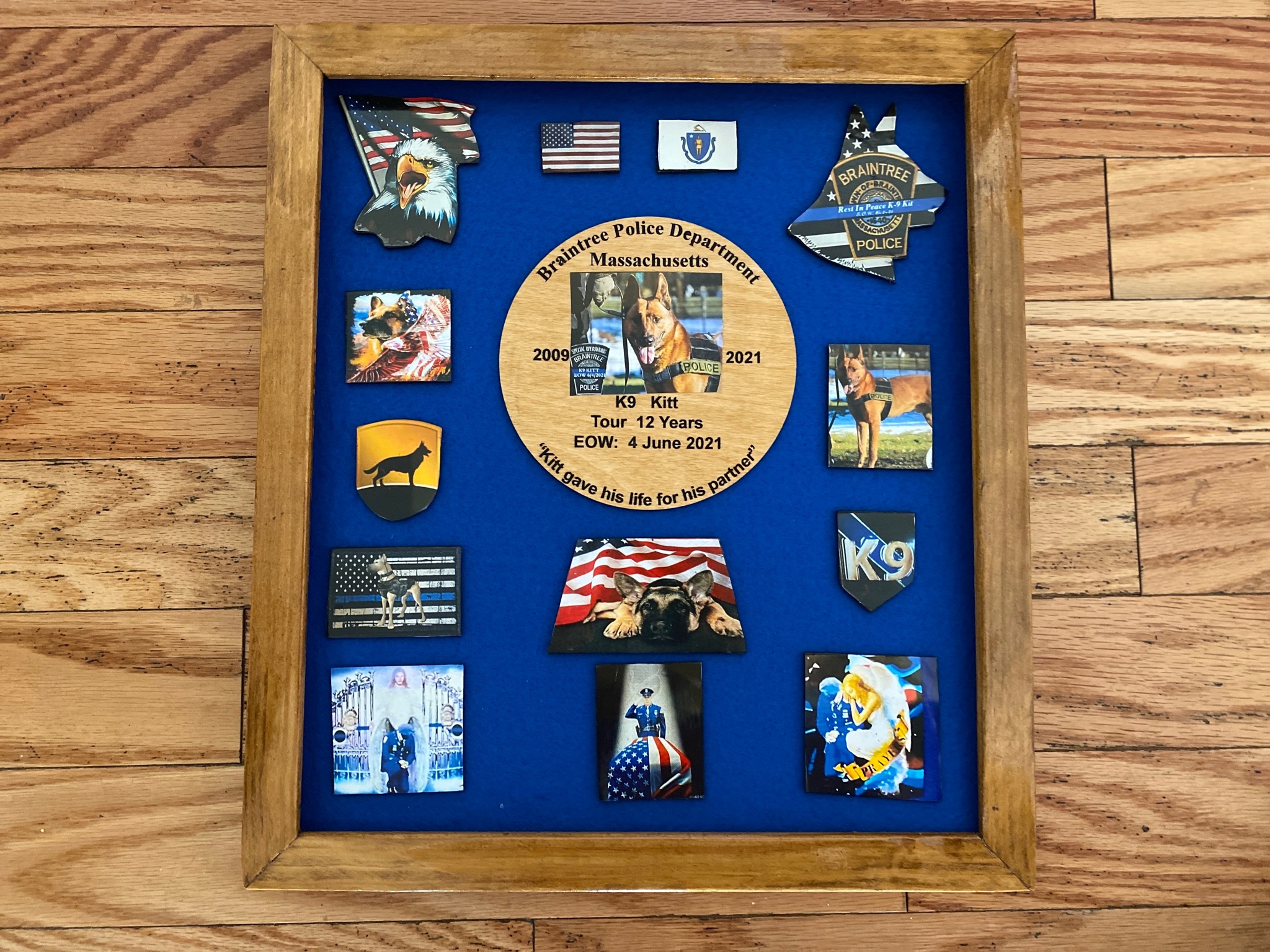 K9 Kitt | Braintree Police Department, Massachusetts K9 Kitt | Braintree Police Department, Massachusetts