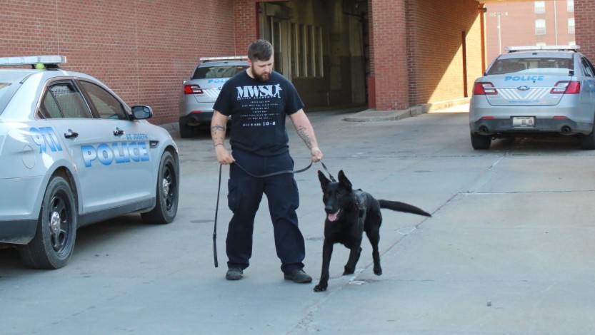 K9 Max | St. Joseph Police Department, Missouri K9 Max | St. Joseph Police Department, Missouri