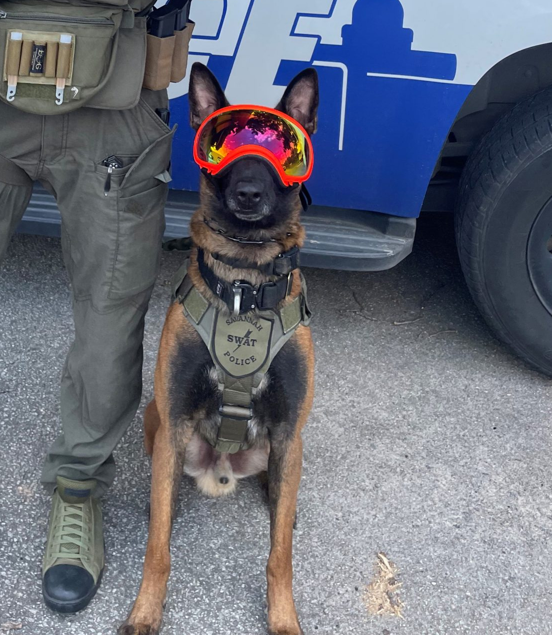 K9 Jas | Savannah Police Department, Georgia K9 Jas | Savannah Police Department, Georgia