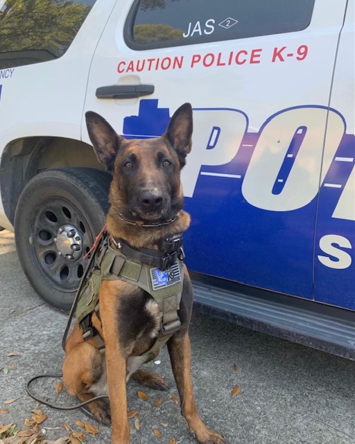 K9 Jas | Savannah Police Department, Georgia K9 Jas | Savannah Police Department, Georgia