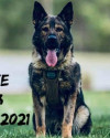 K9 Duke | Virginia State Police, Virginia