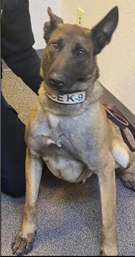 K9 Tito | Eufaula Police Department, Oklahoma K9 Tito | Eufaula Police Department, Oklahoma