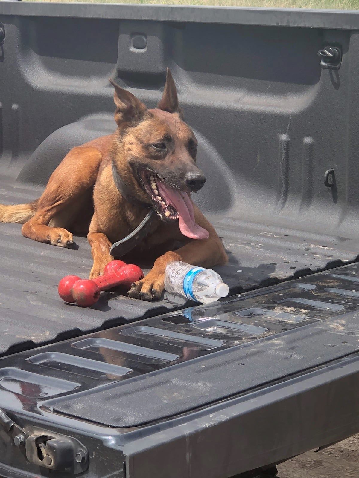 K9 Kyra | Ford County Sheriff's Office, Kansas K9 Kyra | Ford County Sheriff's Office, Kansas