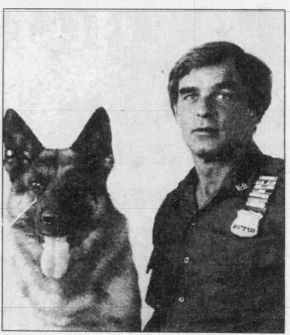 K9 Dax | Suffolk County Police Department, New York K9 Dax | Suffolk County Police Department, New York