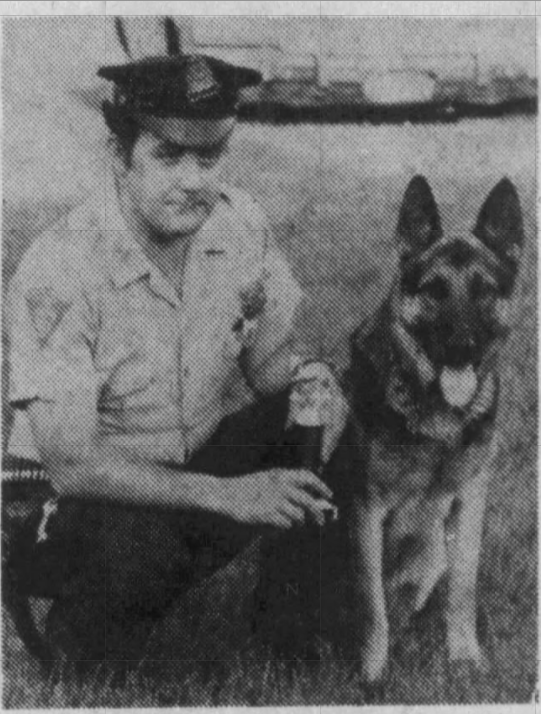 K9 Caesar | Meriden Police Department, Connecticut K9 Caesar | Meriden Police Department, Connecticut