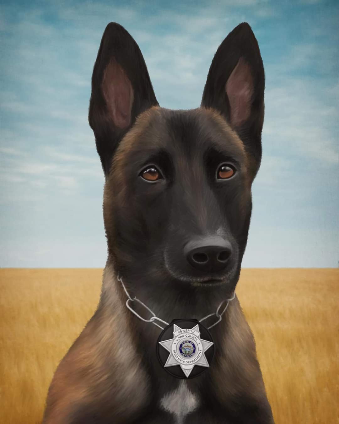 K9 Nitro II | York County Sheriff's Department, Nebraska K9 Nitro II | York County Sheriff's Department, Nebraska