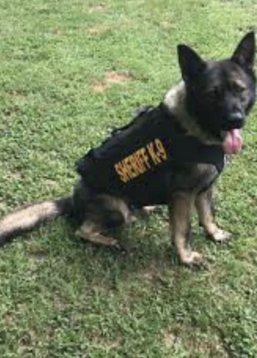 K9 Ciro | Humphreys County Sheriff's Office, Tennessee K9 Ciro | Humphreys County Sheriff's Office, Tennessee