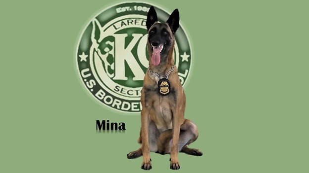 K9 Mina | United States Department of Homeland Security - Customs and Border Protection - United States Border Patrol, U.S. Government K9 Mina | United States Department of Homeland Security - Customs and Border Protection - United States Border Patrol, U.S. Government