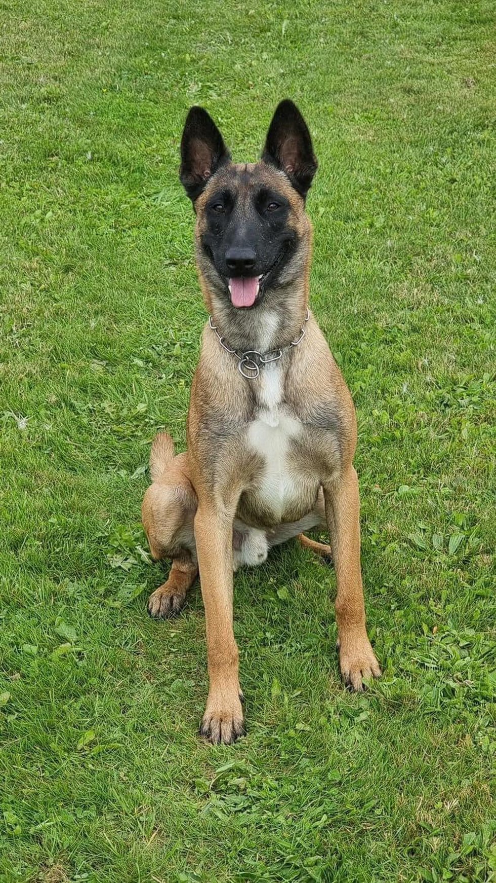 K9 Exo | Pascagoula Police Department, Mississippi K9 Exo | Pascagoula Police Department, Mississippi