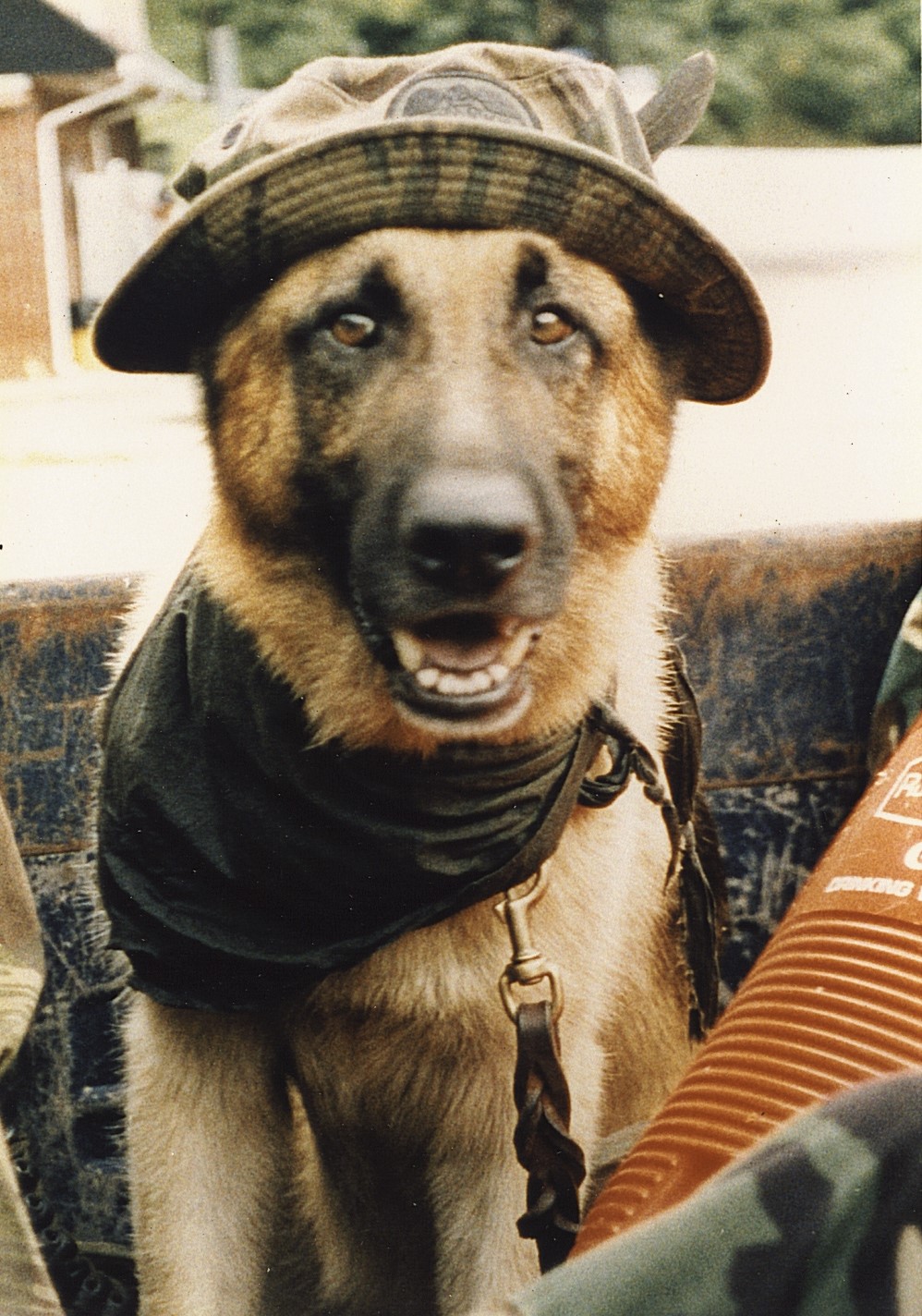 K9 Orofino | Kentucky State Police, Kentucky K9 Orofino | Kentucky State Police, Kentucky