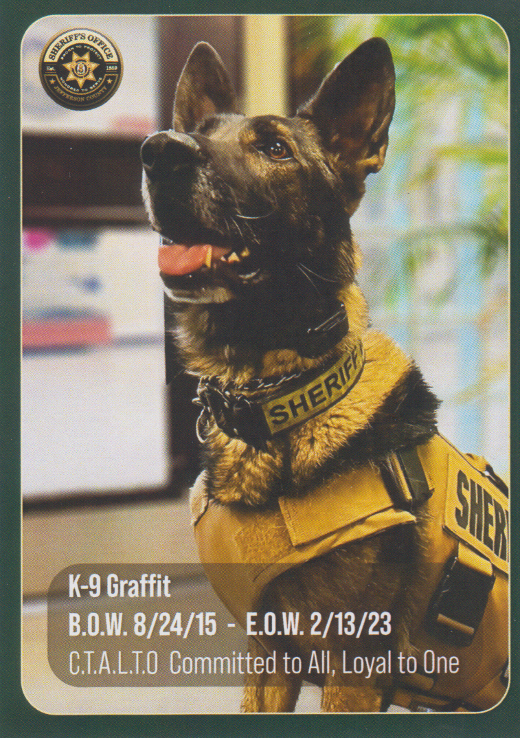 K9 Graffit | Jefferson County Sheriff's Office, Colorado K9 Graffit | Jefferson County Sheriff's Office, Colorado