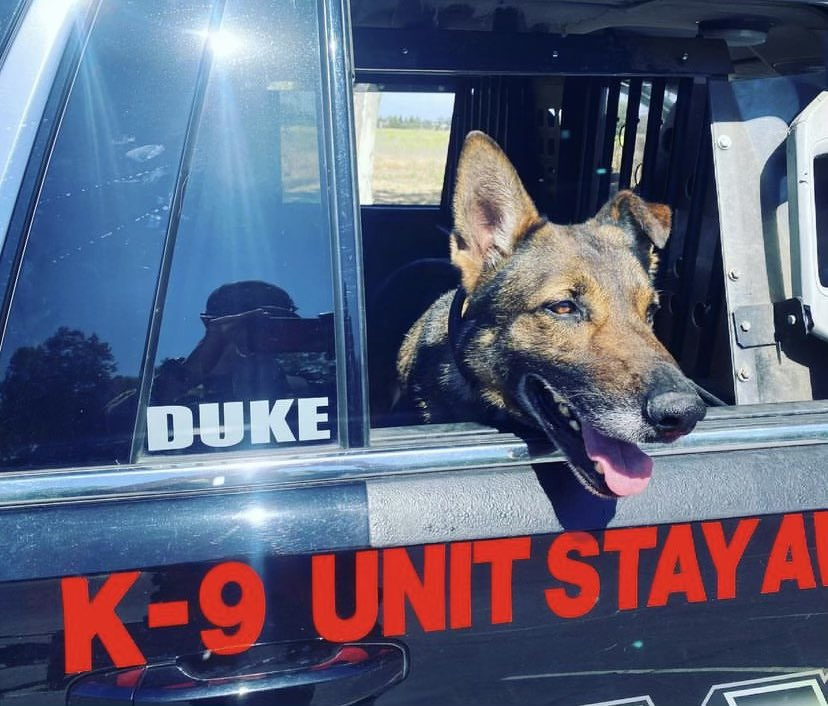 K9 Duke | San Joaquin County Sheriff's Office, California K9 Duke | San Joaquin County Sheriff's Office, California