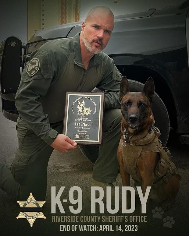 K9 Rudy | Riverside County Sheriff's Department, California K9 Rudy | Riverside County Sheriff's Department, California