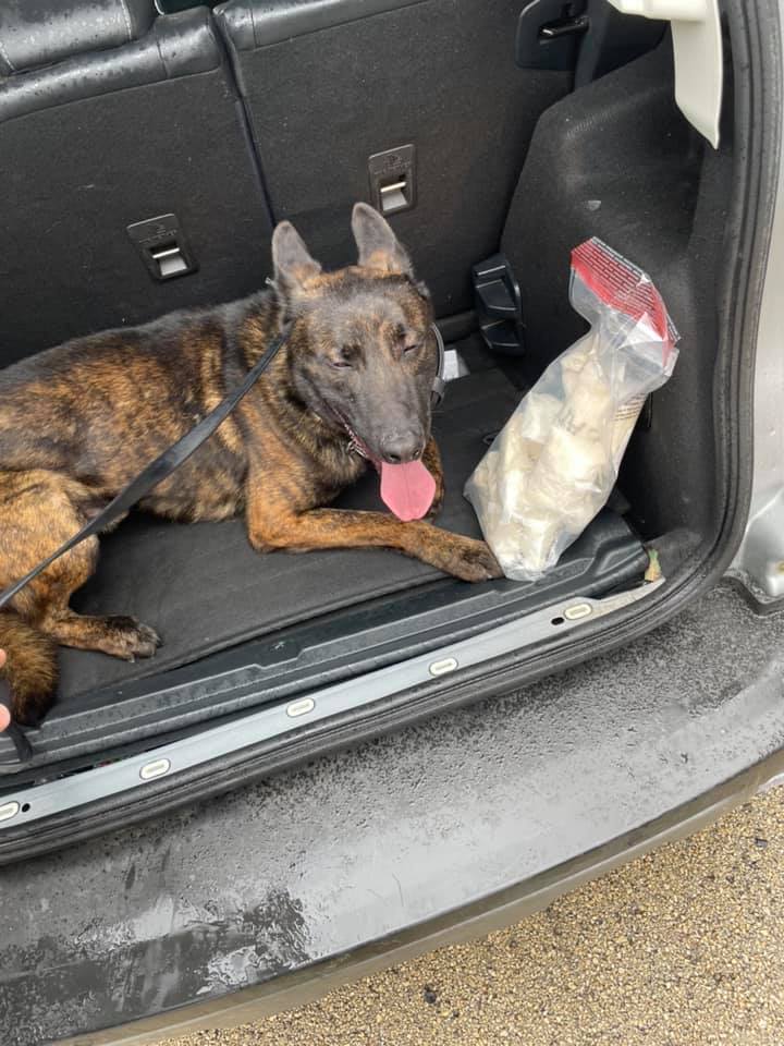 K9 Hudson | Kane County Sheriff's Office, Illinois K9 Hudson | Kane County Sheriff's Office, Illinois