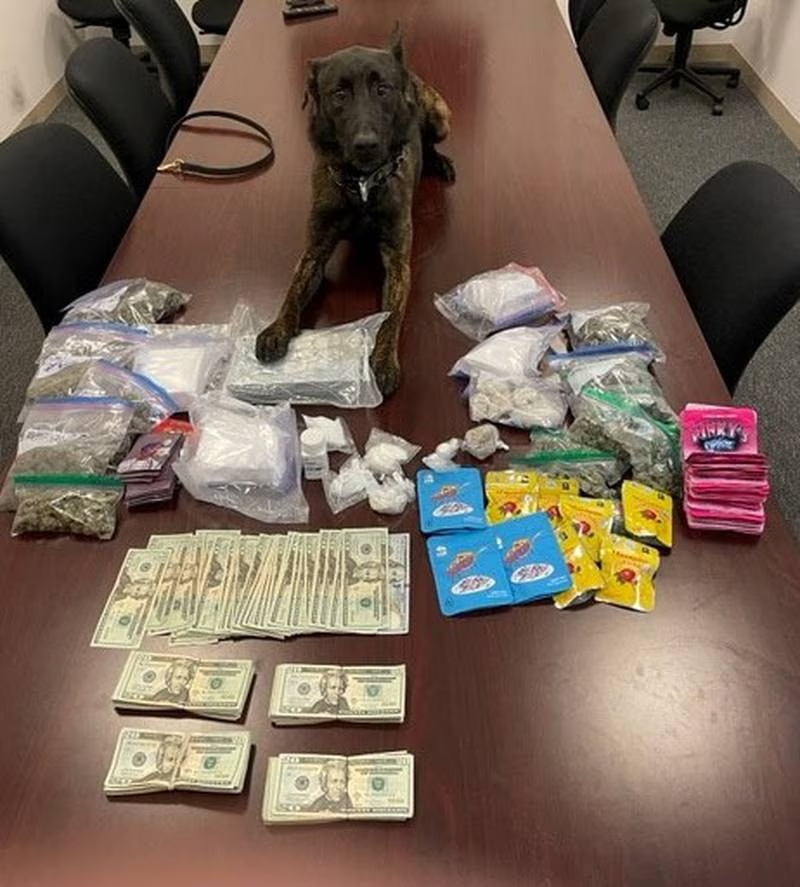 K9 Hudson | Kane County Sheriff's Office, Illinois K9 Hudson | Kane County Sheriff's Office, Illinois