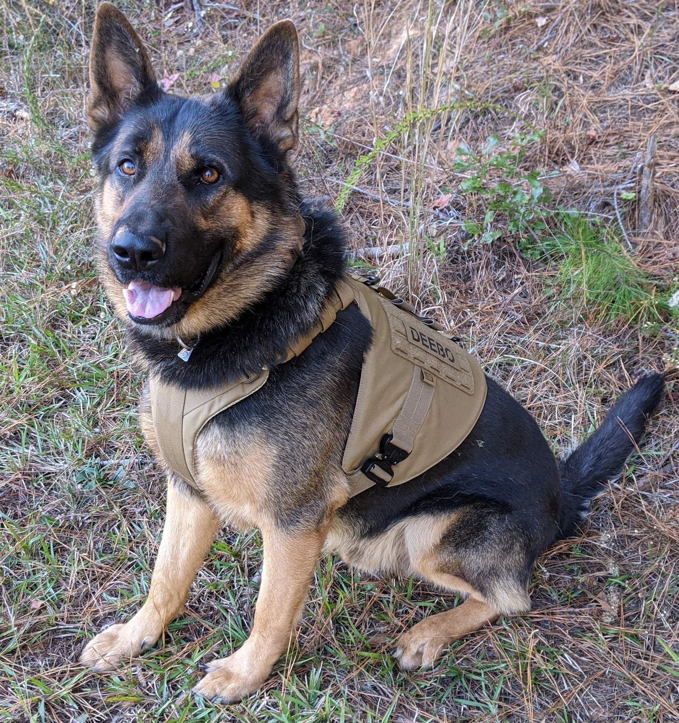 K9 Deebo | Harris County Sheriff's Office, Georgia K9 Deebo | Harris County Sheriff's Office, Georgia