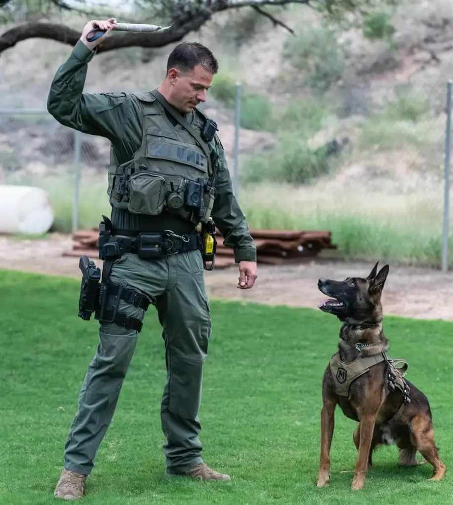 K9 Kenzo | Pima County Sheriff's Department, Arizona K9 Kenzo | Pima County Sheriff's Department, Arizona