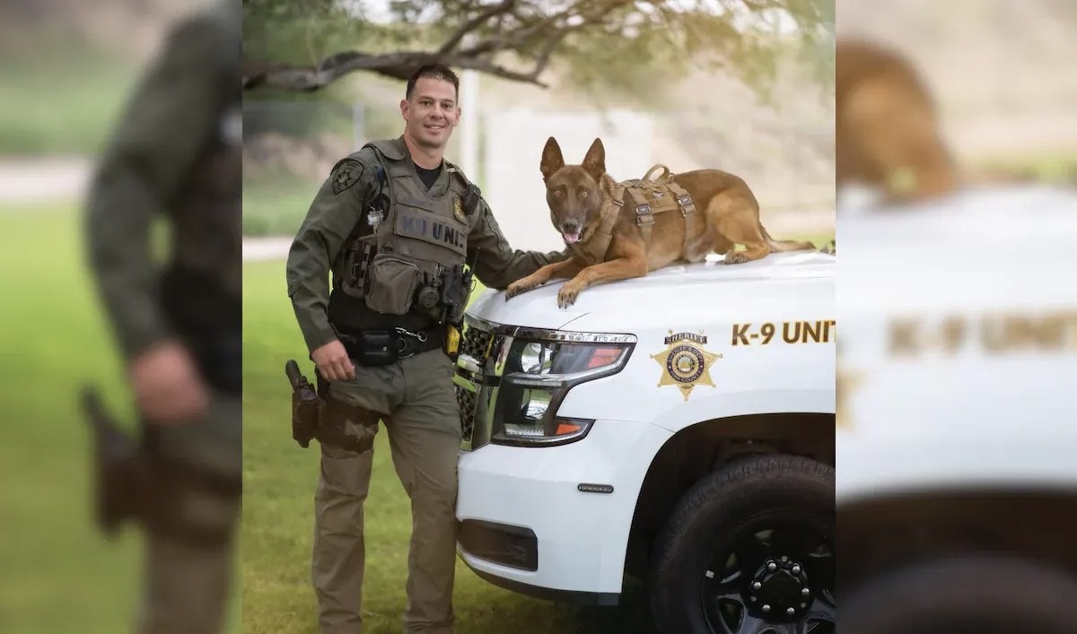 K9 Kenzo | Pima County Sheriff's Department, Arizona K9 Kenzo | Pima County Sheriff's Department, Arizona