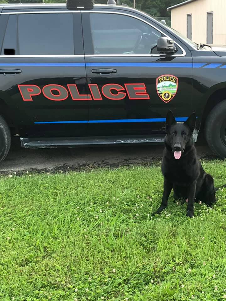 K9 Fury | Franklin Police Department, Ohio K9 Fury | Franklin Police Department, Ohio