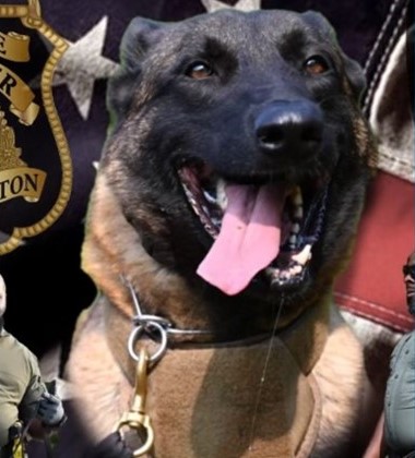 K9 Max | South Fulton Police Department, Georgia K9 Max | South Fulton Police Department, Georgia