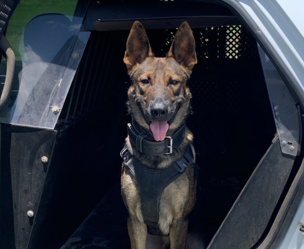 K9 Leo | Marion County Sheriff's Office, Florida K9 Leo | Marion County Sheriff's Office, Florida