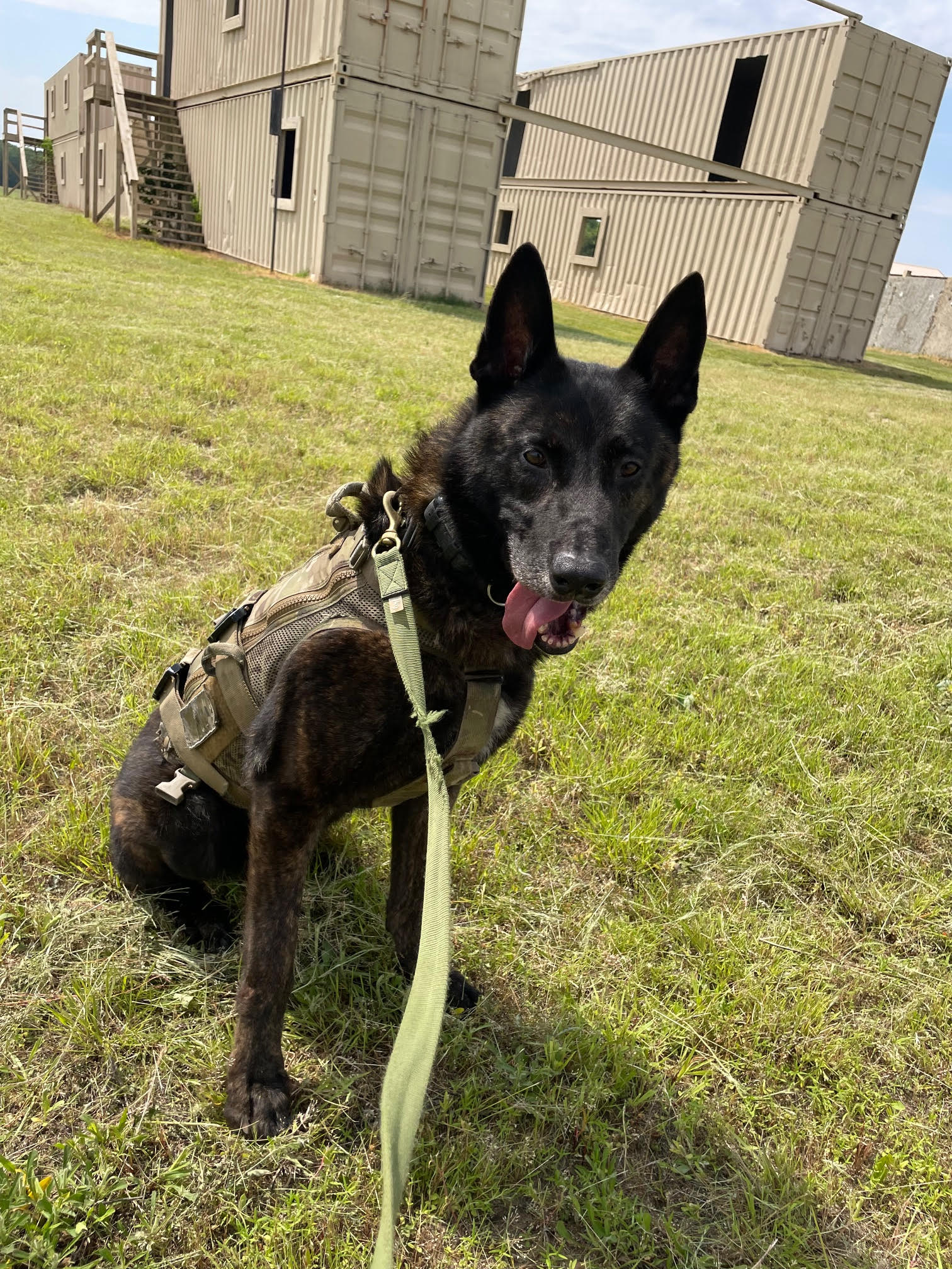 K9 Luca | DeSoto County Sheriff's Office, Mississippi K9 Luca | DeSoto County Sheriff's Office, Mississippi