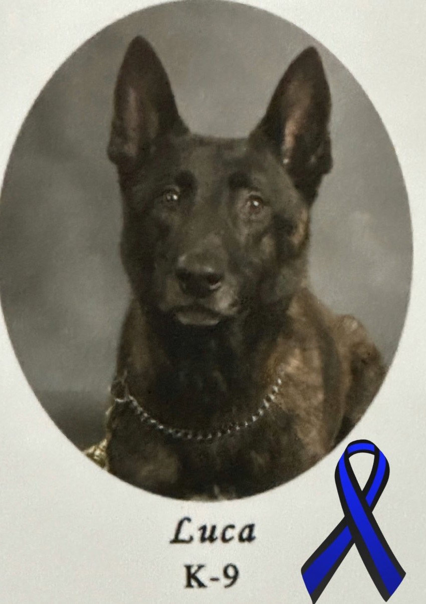 K9 Luca | DeSoto County Sheriff's Office, Mississippi K9 Luca | DeSoto County Sheriff's Office, Mississippi