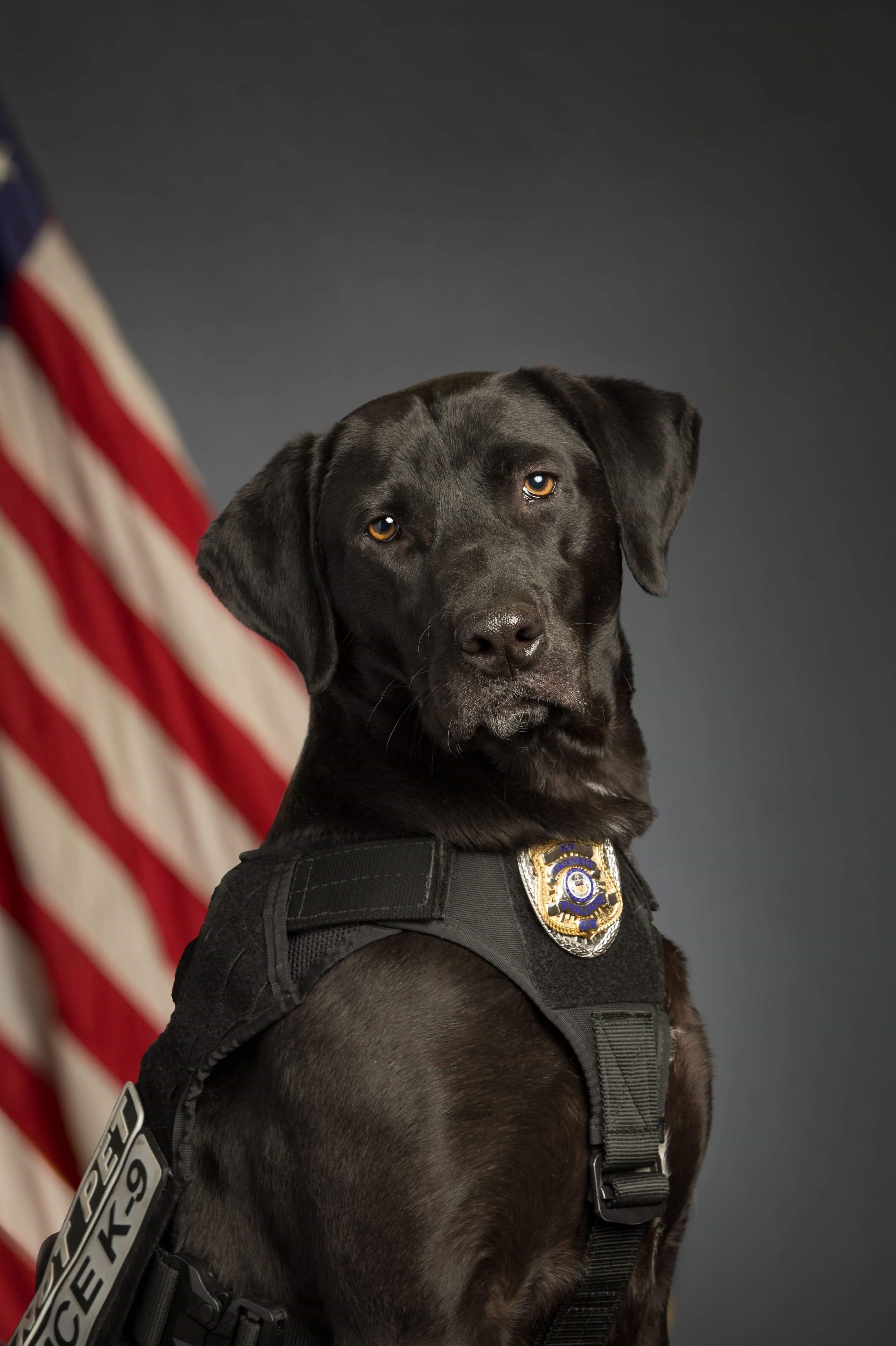 K9 Max | Regional Transportation District Transit Police Department, Colorado K9 Max | Regional Transportation District Transit Police Department, Colorado