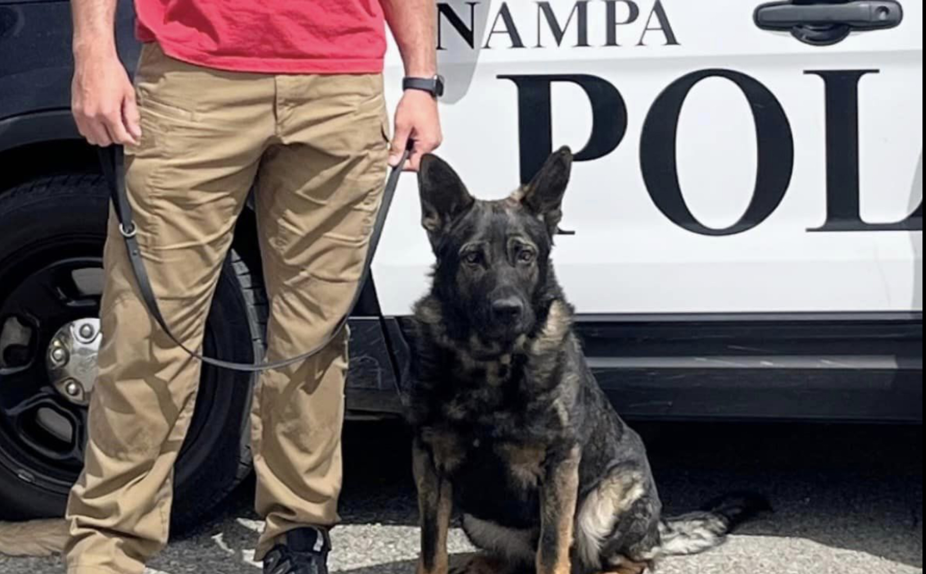 K9 Riddick | Nampa Police Department, Idaho K9 Riddick | Nampa Police Department, Idaho