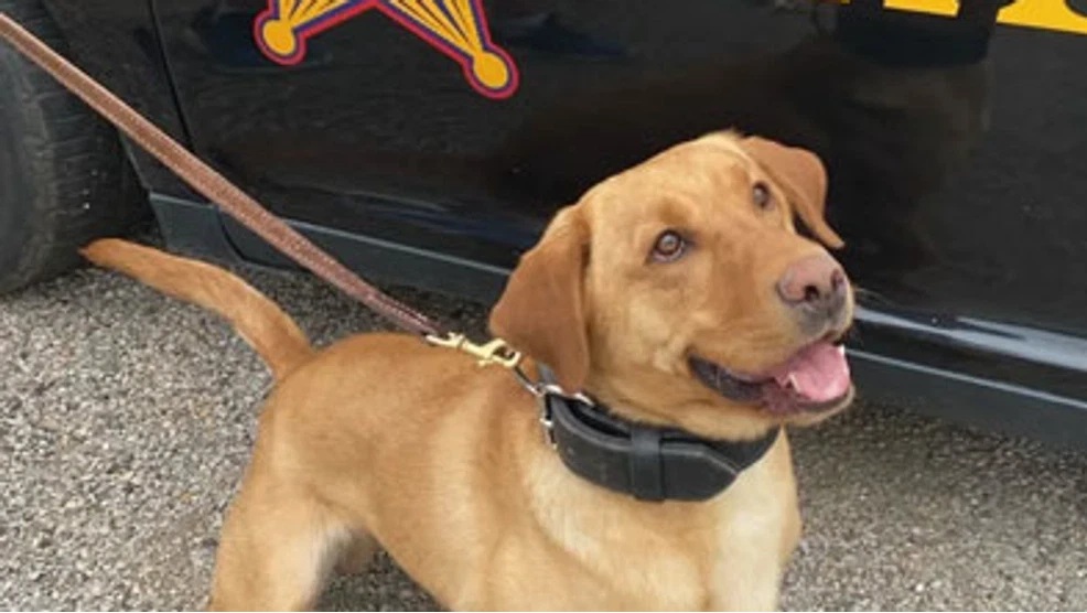K9 Cooper | Muskingum County Sheriff's Department, Ohio K9 Cooper | Muskingum County Sheriff's Department, Ohio