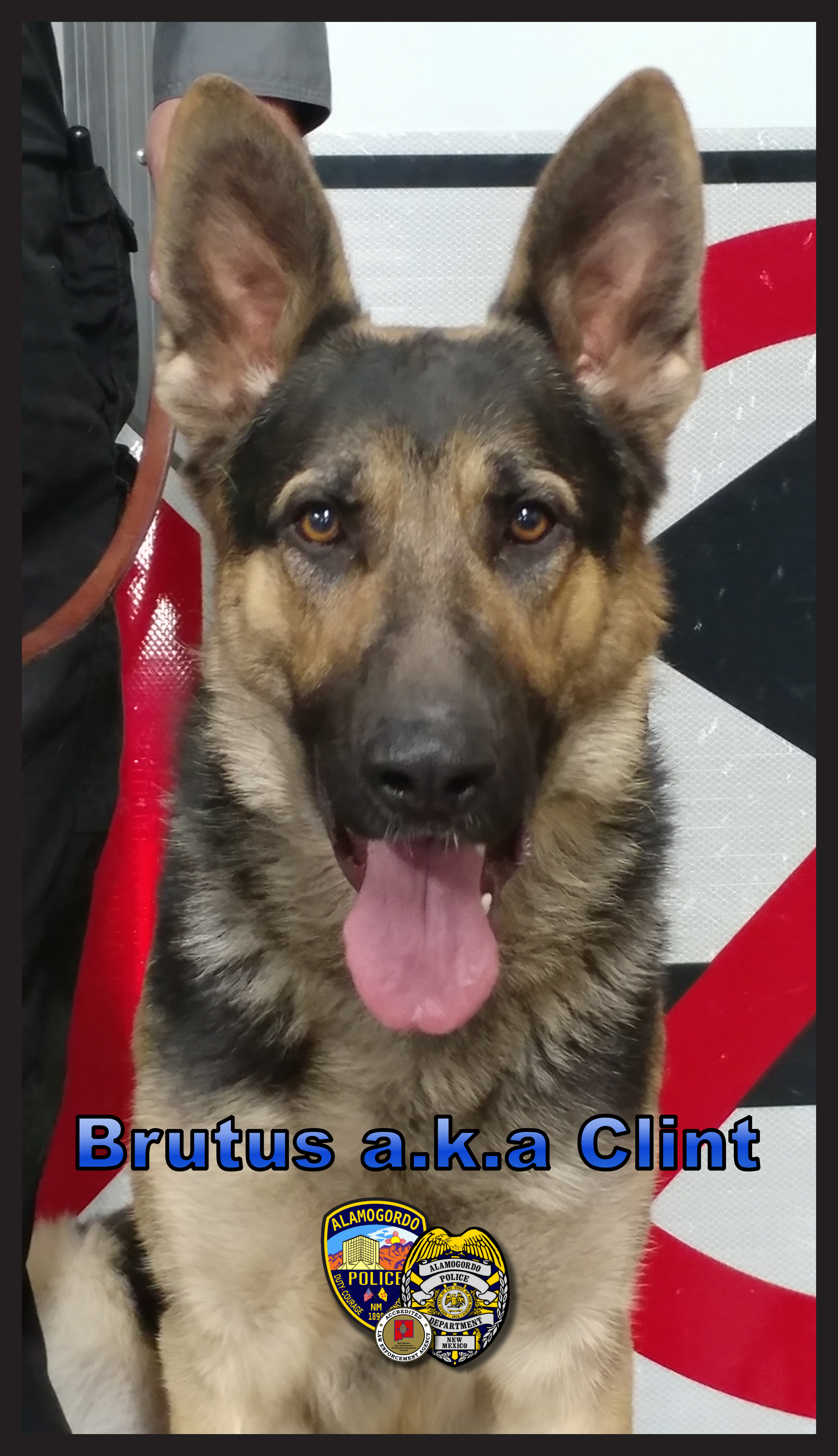 Police Officer Clint E. Corvinus | Alamogordo Police Department, New Mexico Police Officer Clint E. Corvinus | Alamogordo Police Department, New Mexico