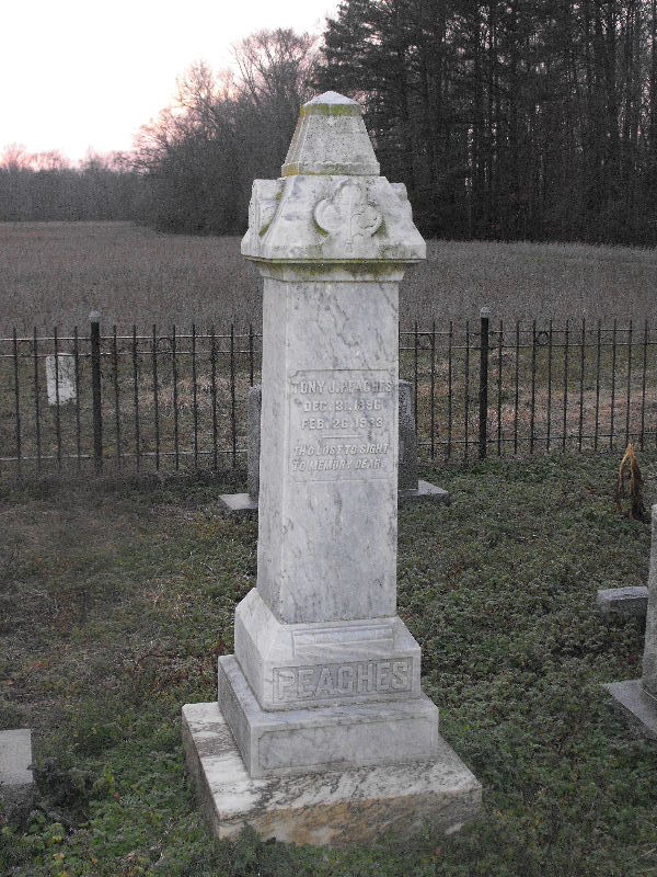 Constable Tony John Peaches | Norfolk County Constable's Office, Virginia Constable Tony John Peaches | Norfolk County Constable's Office, Virginia