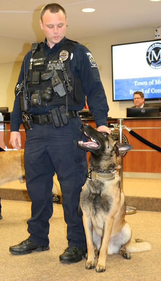 K9 Officer Jordan Harris Sheldon | Mooresville Police Department, North Carolina K9 Officer Jordan Harris Sheldon | Mooresville Police Department, North Carolina