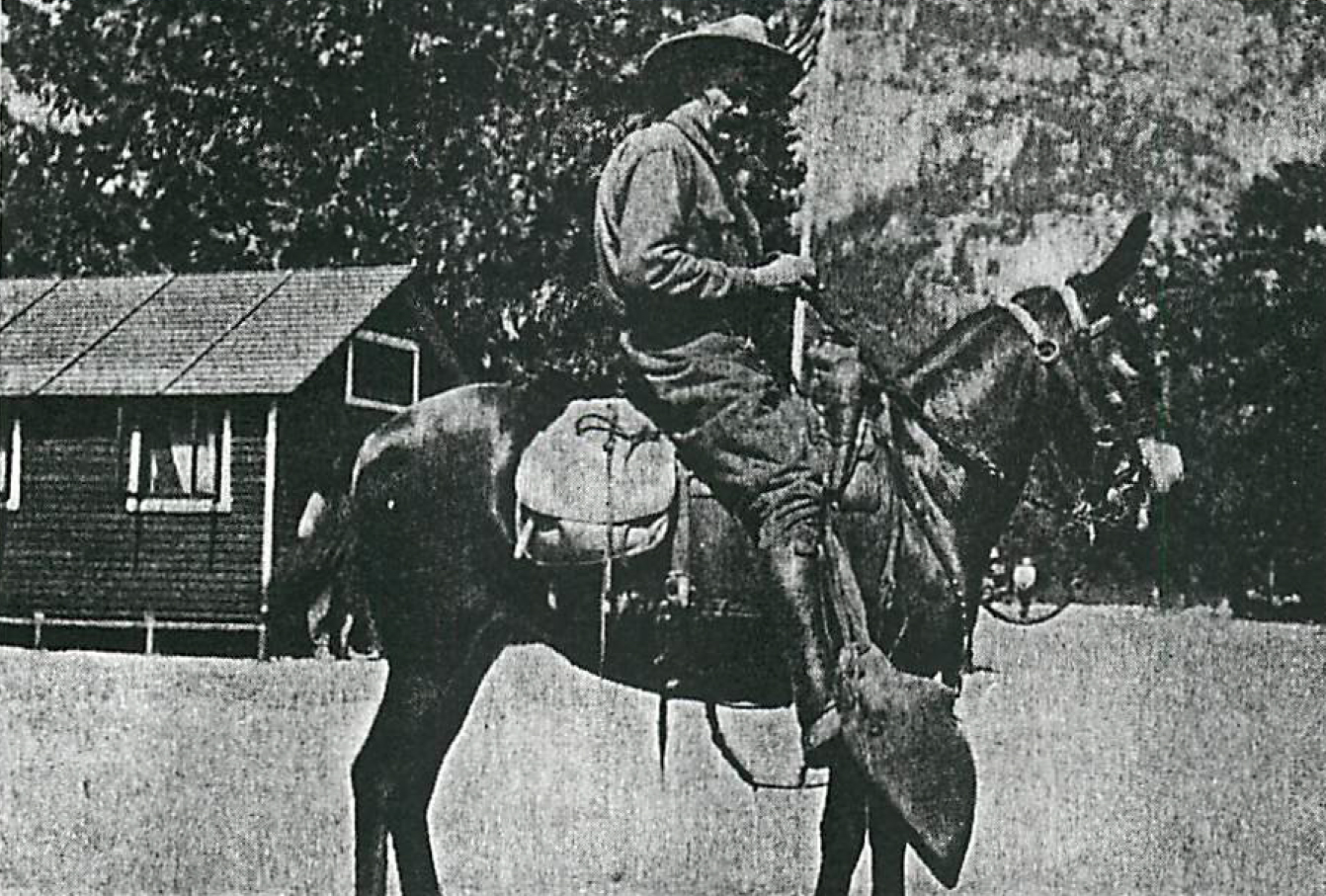 Park Ranger Andrew Jack Gaylor | United States Department of the Interior - National Park Service, U.S. Government Park Ranger Andrew Jack Gaylor | United States Department of the Interior - National Park Service, U.S. Government