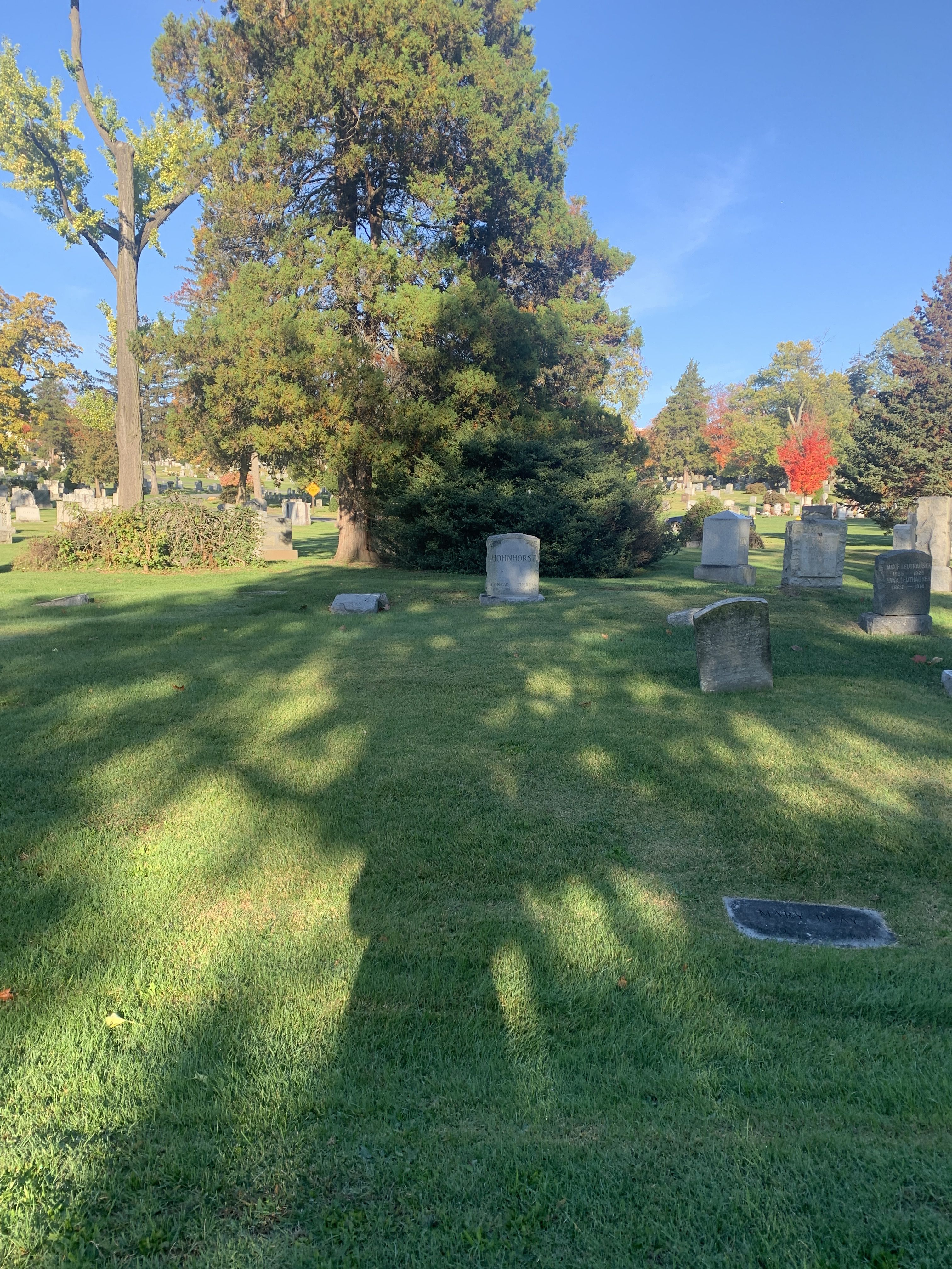 Special Officer George Special Officer George