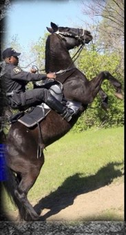 Sergeant Lee Eric Smith | Wayne County Sheriff's Office, Michigan Sergeant Lee Eric Smith | Wayne County Sheriff's Office, Michigan