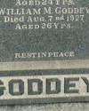 Patrolman William M. Goddy | New York City Police Department, New York